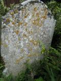 image of grave number 247234
